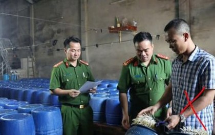 Khởi tố chủ cơ sở bán 60 tấn giá đỗ dùng chất kích thích tăng trưởng