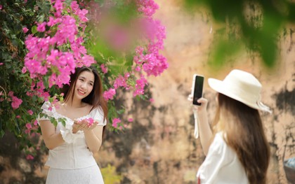 Du khách thích mê đường hoa giấy rực rỡ ở Nha Trang