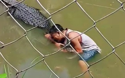 Clip: Liều mình trèo vào chuồng chụp hình với cá sấu, du khách bị tấn công kinh hoàng