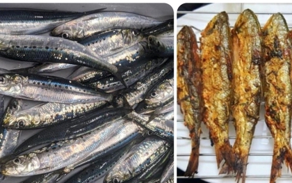 Loại cá nhỏ nhưng chứa nhiều Omega-3 và canxi bạn nên ăn thường xuyên