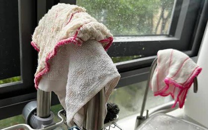 Nói thật: 5 vật dụng nhà bếp nhà nào cũng có là "ổ vi khuẩn" nên vứt ngay