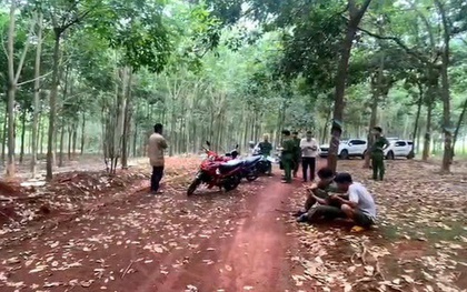 Bàng hoàng phát hiện thi thể nam giới treo lơ lửng trên cây cao su
