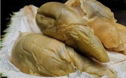 Chân dung giống sầu riêng quý hiếm đang gây sốt khắp châu Á: Múi màu xanh độc lạ, hơn 700.000 đồng/kg, sắp có mặt trên kệ vào tháng 6