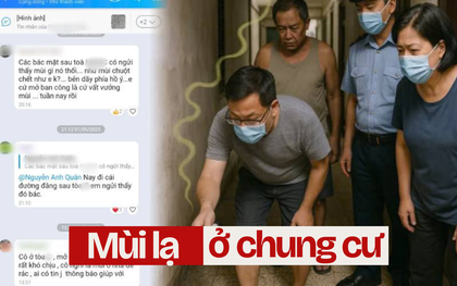 Cả chung cư phát hoảng vì thứ mùi kinh khủng, khi tìm ra nguyên nhân ai cũng phải lắc đầu ngao ngán!