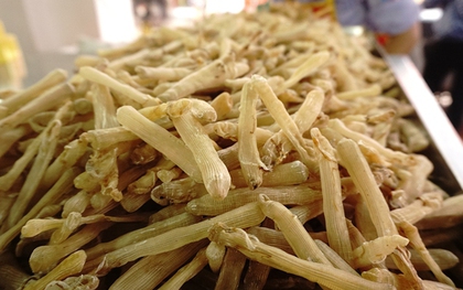 Loài giun biển từng nghĩ đến đã sợ nay lột xác thành 'mì chính của nhà giàu', giá lên đến 10 triệu đồng/kg