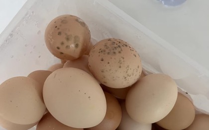 Có 2 loại trứng trong "danh sách đen" dễ gây hại sức khỏe, thèm đến mấy cũng phải VỨT!
