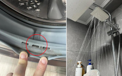 Cảnh báo: Trong nhà có 6 món đồ "bẩn không tưởng", bạn dùng hàng ngày mà không hề hay biết!