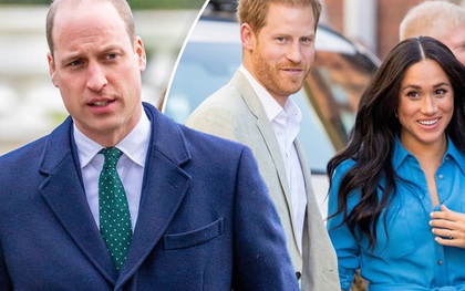 Chuyên gia nhận định: Thân vương William sẽ không bao giờ tước bỏ tước hiệu hoàng gia của Harry và Meghan, đây là lý do!