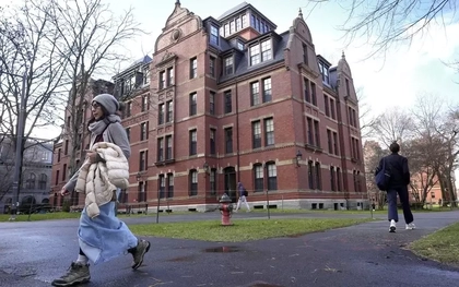 Cơn sốc của sinh viên quốc tế ở Harvard