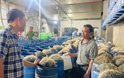 Lưu Văn Vẽ cấu kết với Tạ Văn Hải đưa 348 tấn giá đỗ độc hại ra thị trường: Chất cấm nào được sử dụng?