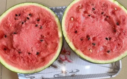 Không cất dưa hấu ăn thừa vào tủ lạnh, lão nông sành đời chỉ cách giữ 7 ngày vẫn tươi
