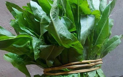 Loại rau "nhà nghèo" bổ hơn tổ yến, canxi gấp 36 lần nước hầm xương, chợ Việt bán nhiều vô kể