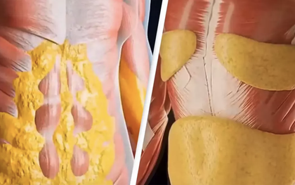 Video hơn 8 triệu lượt xem chỉ ra thay đổi của cơ thể khi nhịn ăn 36 giờ khiến nhiều người "sốc"