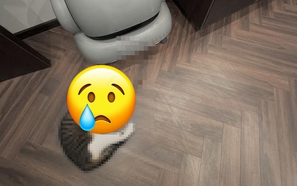 Xôn xao vụ bé mèo qua đời vì bị kẹt trong máy dọn vệ sinh thông minh cho mèo: Hội người dùng đưa ra cảnh báo