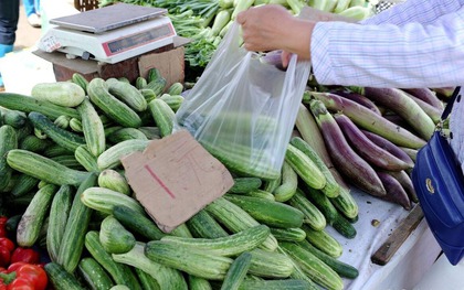 Người nông dân bật mí: Muốn mua dưa chuột đặc ruột, ngọt thơm, không đắng chỉ cần nhìn kĩ 3 điểm này