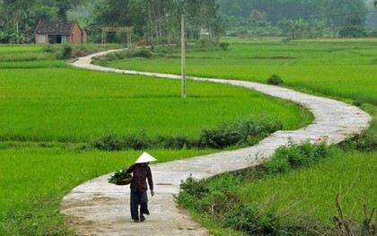 Tiếng Việt gọi tên nỗi lòng bằng một từ mà tiếng Anh chẳng thể đuổi kịp: Da diết như lời ru, sâu lắng hơn ký ức