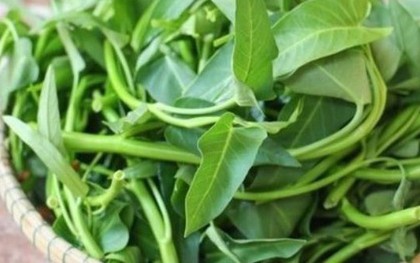 "5 không" khi ăn rau muống, biết mà tránh kẻo rước hoạ