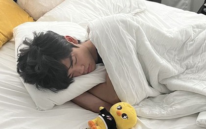 Gối có hạn sử dụng không? Nếu thấy 3 đặc điểm này, tiếc mấy cũng bỏ đi kẻo sau này hối hận bằng thừa!