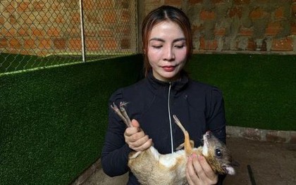 Mạnh dạn nuôi con vật có trong sách Đỏ, bán 10 triệu đồng/cặp, người phụ nữ thu lãi "khủng"