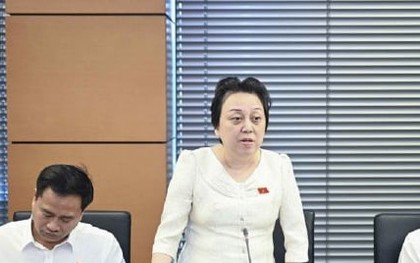 ĐBQH: Mua phải hàng giả, người dân phải được bồi thường