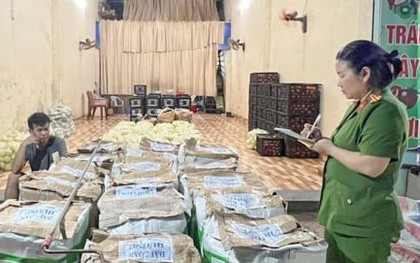 Phát hiện hơn 3 tạ rau củ nhiễm hoá chất độc hại ở Sơn La