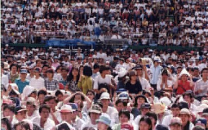 Sân khấu Lan Anh từng là mồ hôi, nước mắt, niềm tự hào