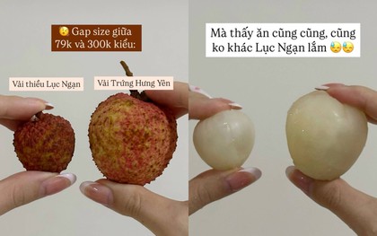 Vải trứng Hưng Yên: "To thì có to, nhưng thua vải thiều?"
