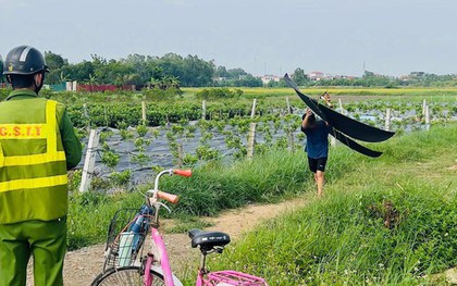 Máy bay đang hạ cánh, phi công phát hiện 3 chiếc diều