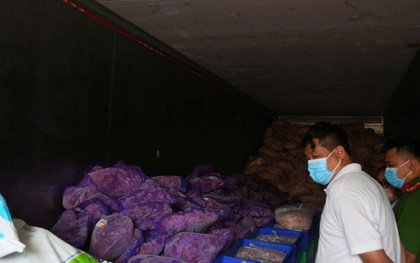 Giật mình hình ảnh hơn 11 tấn chân gà, thịt heo đông lạnh không rõ nguồn gốc