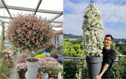 Bị chê “chỉ trồng hoa chẳng làm ăn gì”, chàng trai 9X khiến cả làng nể phục với khu vườn triệu bông