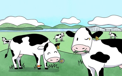 Flex nhẹ cuộc sống “chanh sả” của những cô bò sữa TH true MILK