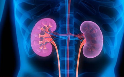 Những thói quen giúp thận luôn khoẻ mạnh