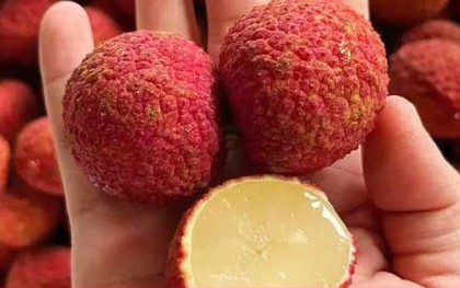 Vải không hạt Trung Quốc đổ bộ chợ Việt, giá gần 1 triệu đồng/kg