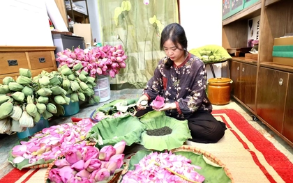 Khám phá quy trình ướp trà sen đắt đỏ nhất Hà thành