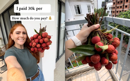 Bỏ 30.000 đồng/kg mua loại trái cây yêu thích ở Việt Nam, khách Tây khiến dân mạng bái phục vì "mát tay" chọn được giá hời