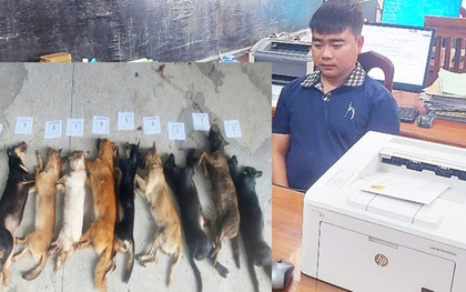 Bị truy đuổi, kẻ trộm chó chui vào nhà vệ sinh để trốn