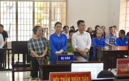 "Nữ đại gia Vũng Tàu" Lâm Thị Thu Trà bị đề nghị mức án bao nhiêu?