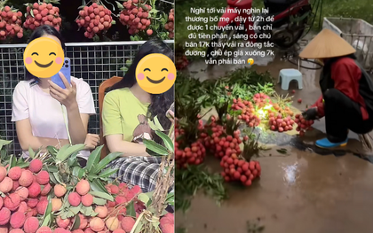 "Khối nghỉ hè" dùng TikTok rao bán vải hộ bố mẹ, 2h sáng được huy động ra vườn soi đèn thu hoạch