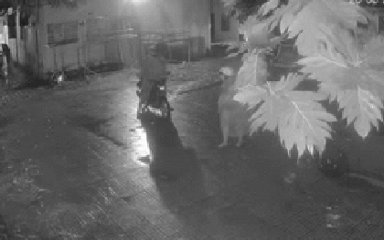 Nhóm đối tượng trộm 6 xe máy của sinh viên trong 1 tiếng ở Bình Dương: Có xe vẫn đang phải trả góp