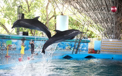 Tuần Châu Park: Điểm đến lý tưởng cho mùa hè sôi động tại Quảng Ninh