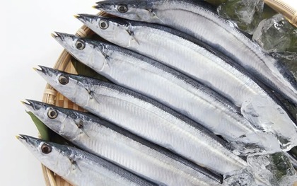 "Vua omega-3" là loại cá bình dân bán đầy chợ Việt, cá hồi ngậm ngùi hạng 2