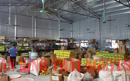 Bắt chủ xưởng giả mạo nhãn hiệu “chè Thái Nguyên”