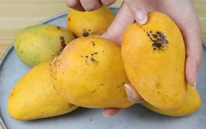 Mua xoài cứ dùng 5 mẹo này: Bách phát bách trúng, quả nào cũng ngọt như mía lùi