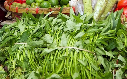 Loại rau rẻ tiền nhưng tốt ngang nhân sâm, chợ bán 5.000 đồng/mớ, không ăn là phí của trời