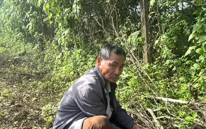Đôi tình nhân nuôi gần 10 con chó dữ để thuận lợi tẩu tán ma tuý