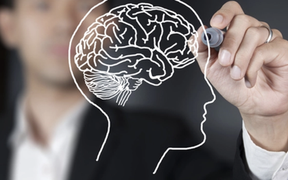 Nghiên cứu: 4 CÁCH nhanh nhất để phát triển não bộ, giúp IQ tăng vun vút, trở nên nhạy bén hơn