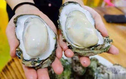 Khi mua hàu, đừng mua 3 loại hàu này: Chủ cửa hàng hải sản không bao giờ để người nhà ăn