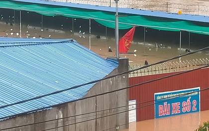 Xe vi phạm để trong bãi giữ xe bị ngập nước dẫn đến hư hỏng liệu có được đền bù?