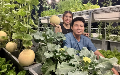 Từ tay mơ đến bà chủ vườn chỉ sau 2 tháng: Mẹ trẻ bật mí 4 kinh nghiệm trồng rau sân thượng trĩu quả khiến ai cũng bất ngờ vì “quá dễ”