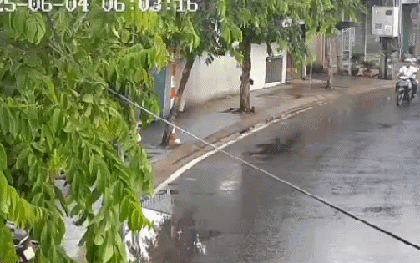CLIP: Chạy xe máy tông vào tường, 2 sinh viên nước ngoài thương vong
